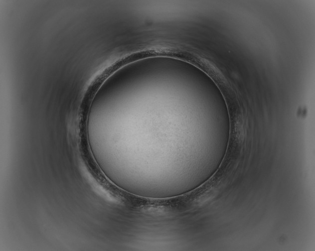 X0000089910730200707060958