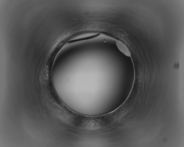 X0000089910731200707060958