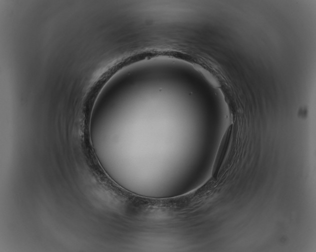 X0000089910732200707060958