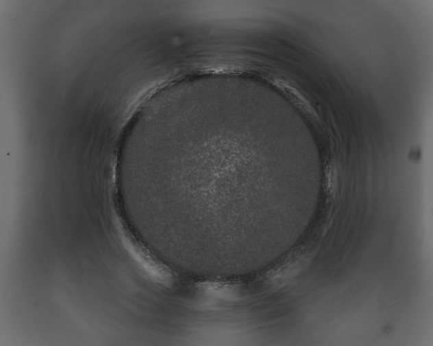 X0000089910733200707060958