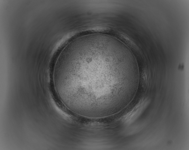 X0000089910734200707060958