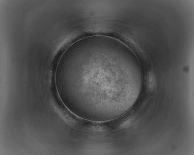 X0000089910735200707060958