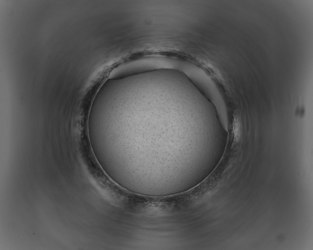 X0000089910736200707060958