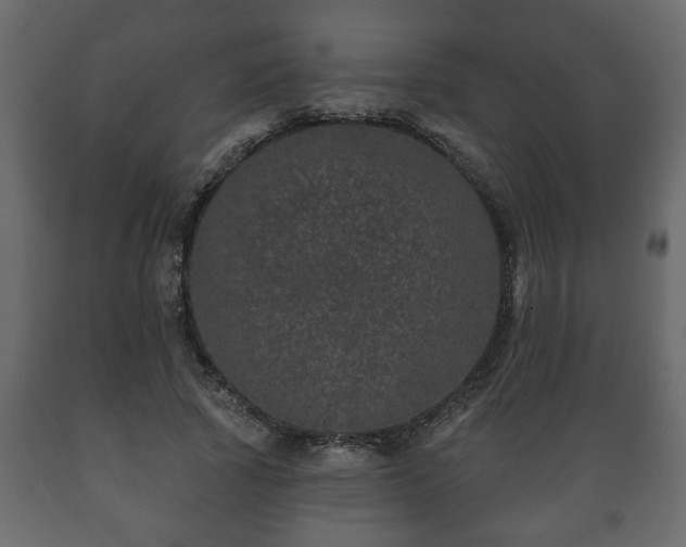 X0000089910737200707060958
