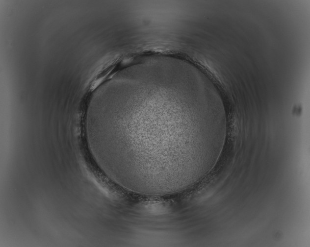 X0000089910738200707060958