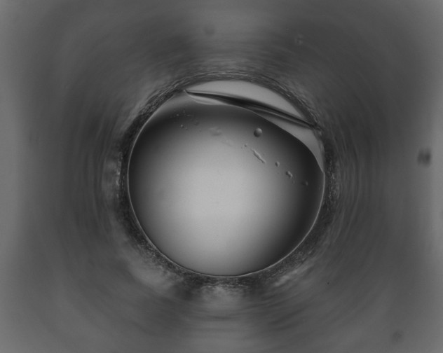 X0000089910739200707060958