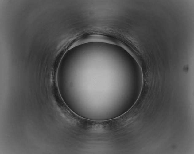 X0000089910740200707060958