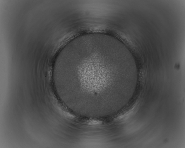 X0000089910741200707060958