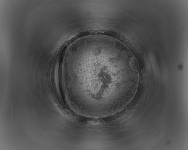 X0000089910742200707060958