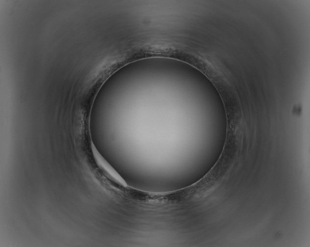 X0000089910744200707060958