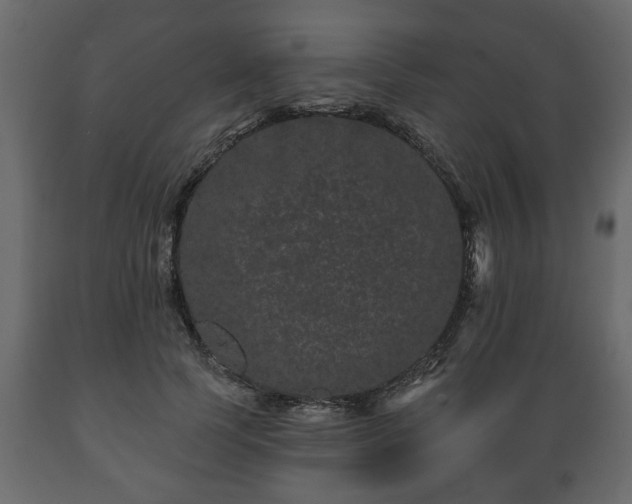 X0000089910745200707060958