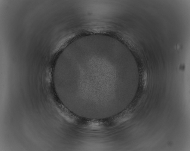 X0000089910746200707060958