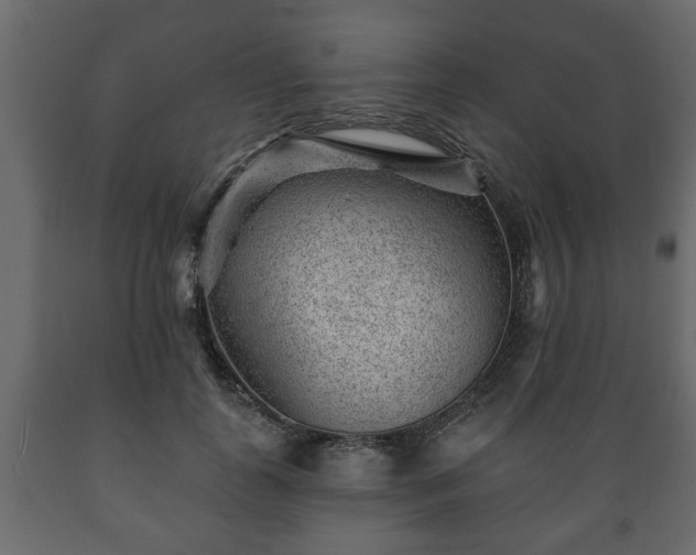 X0000089910747200707060958