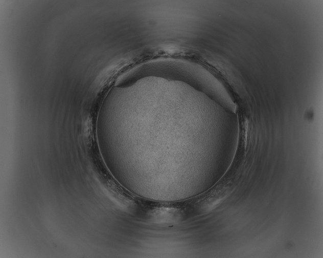 X0000089910748200707060958