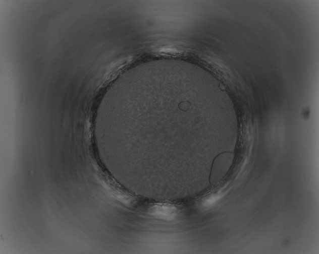 X0000089910749200707060958