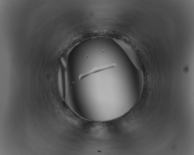 X0000089910750200707060958