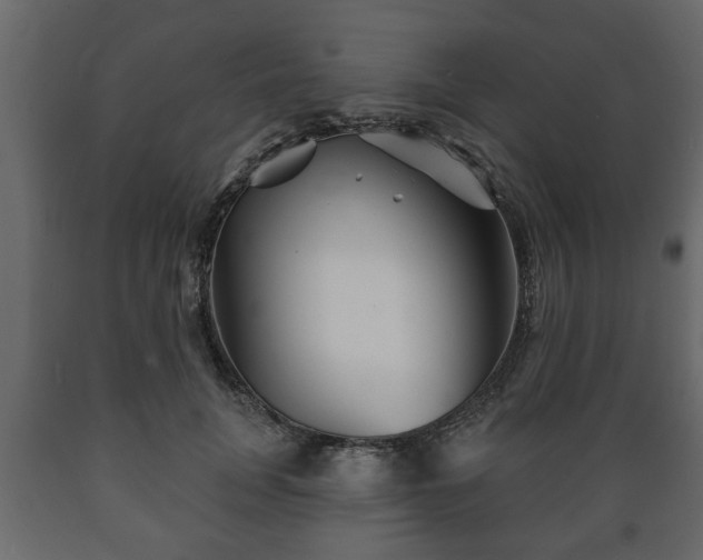 X0000089910751200707060958