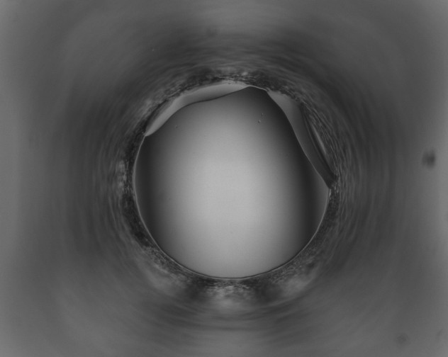 X0000089910752200707060958