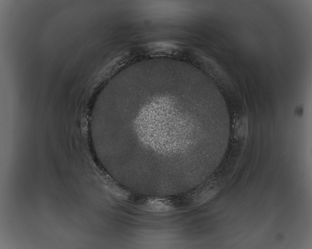 X0000089910753200707060958