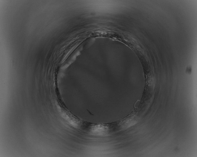 X0000089910754200707060958