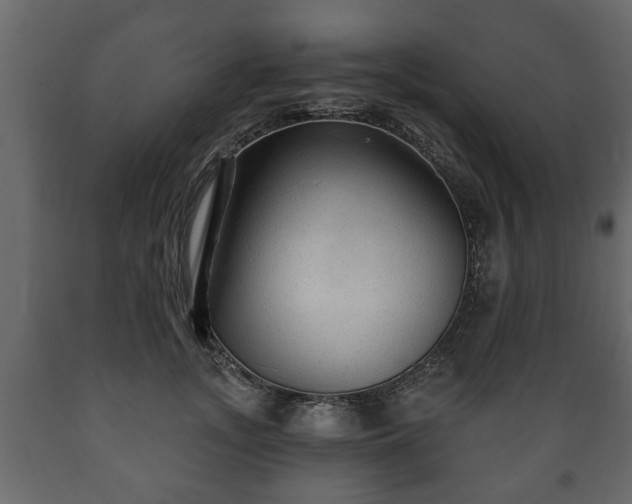 X0000089910755200707060958