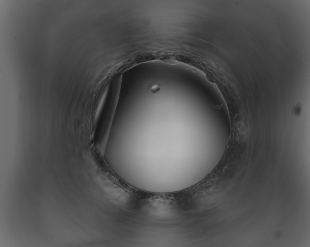 X0000089910756200707060958