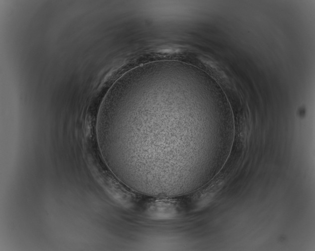 X0000089910758200707060958
