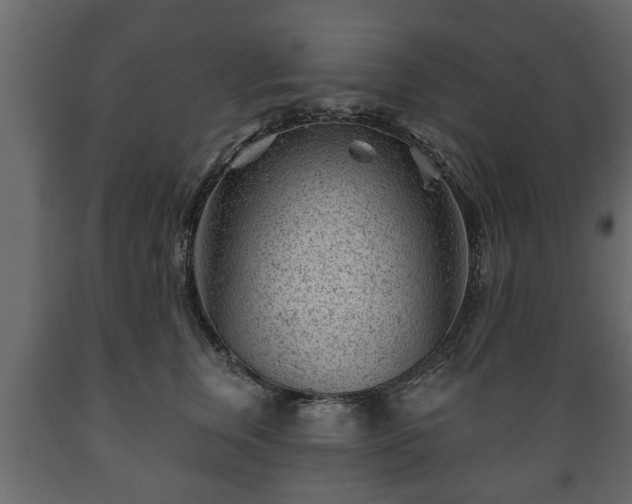 X0000089910759200707060958