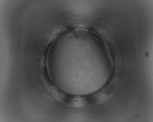 X0000089910760200707060958