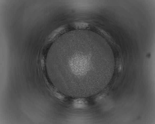 X0000089910761200707060958