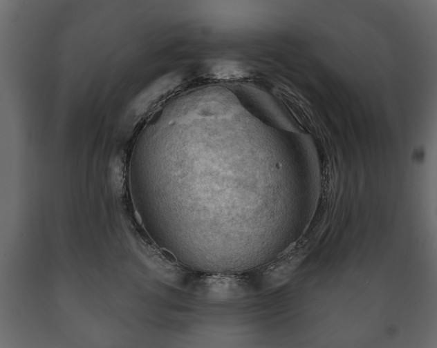 X0000089910762200707060958