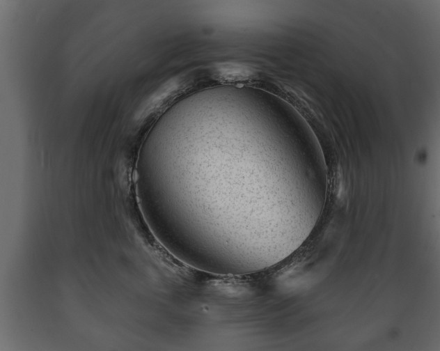 X0000089910763200707060958