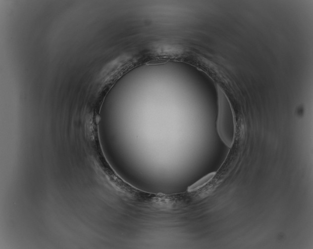 X0000089910764200707060958