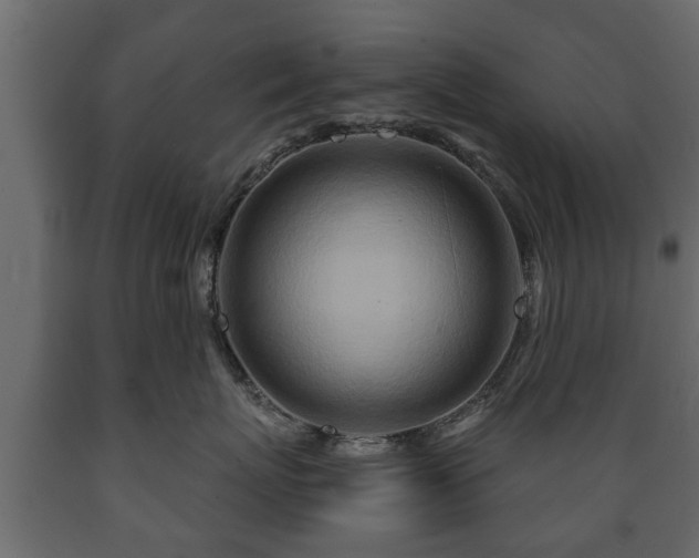 X0000089910767200707060958