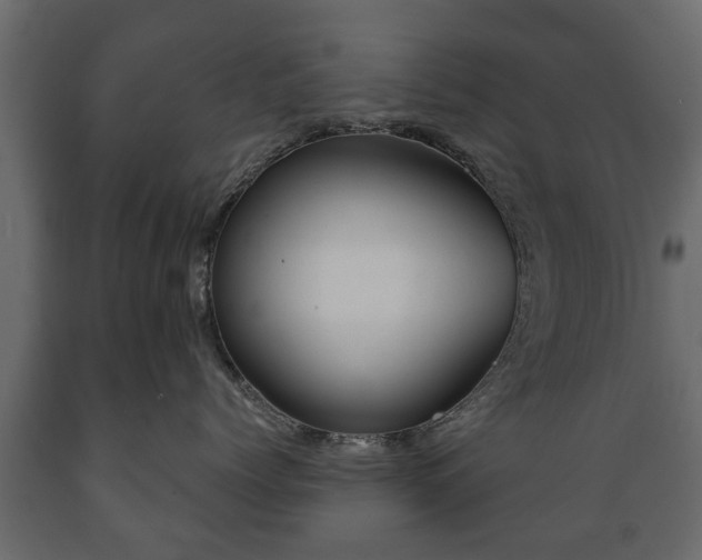 X0000089910768200707060958