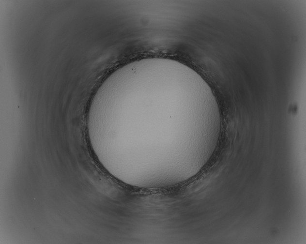 X0000089910769200707060958