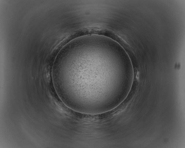 X0000089910771200707060958