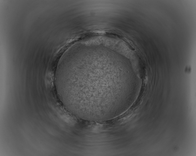 X0000089910772200707060958