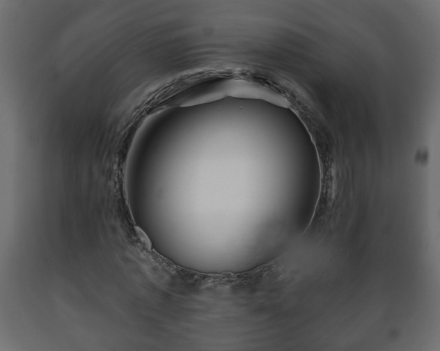 X0000089910773200707060958