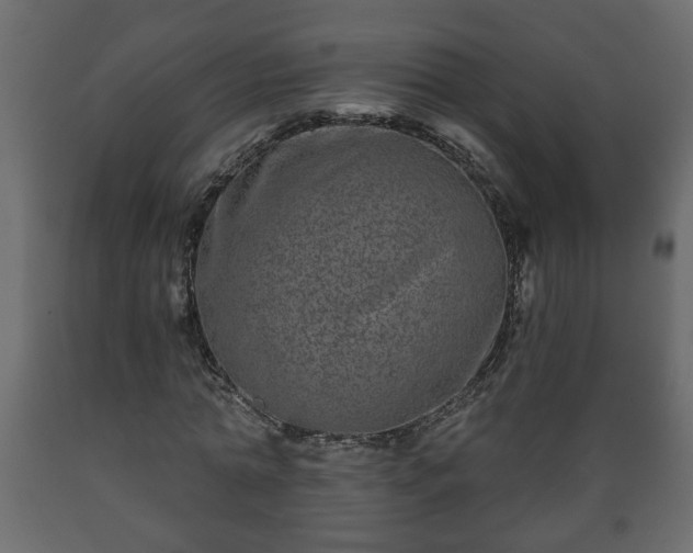 X0000089910774200707060958