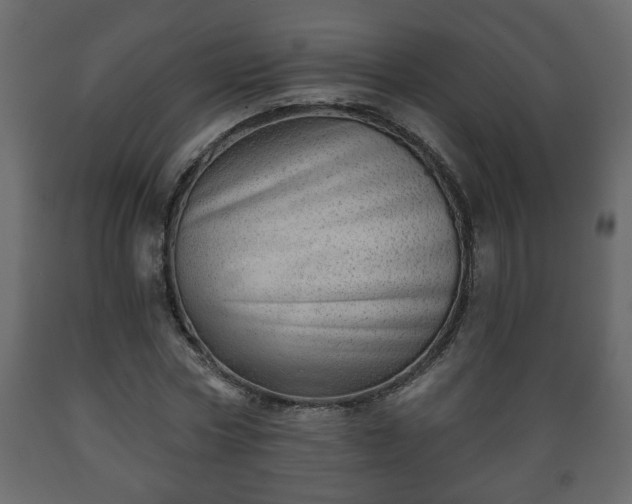 X0000089910778200707060958