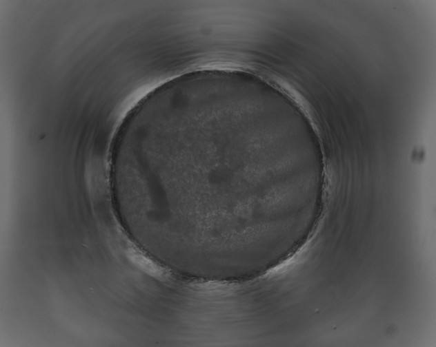 X0000089910779200707060958