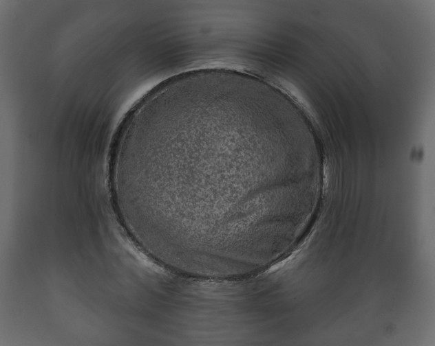 X0000089910780200707060958