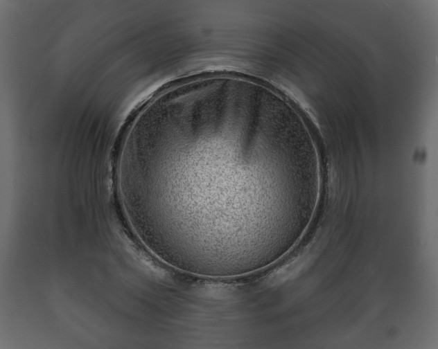 X0000089910782200707060958