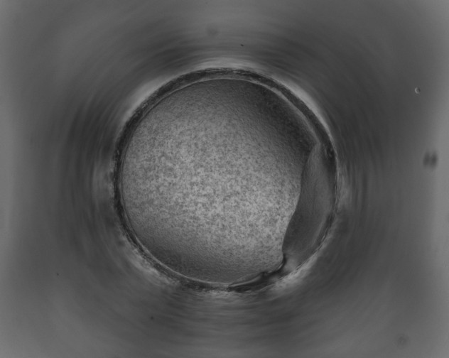 X0000089910783200707060958