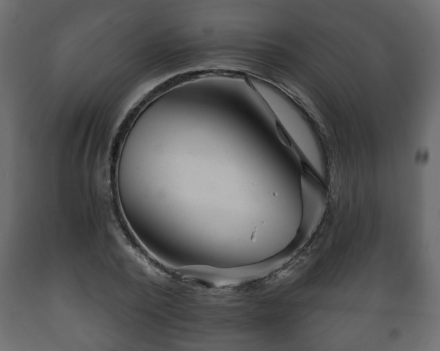X0000089910784200707060958