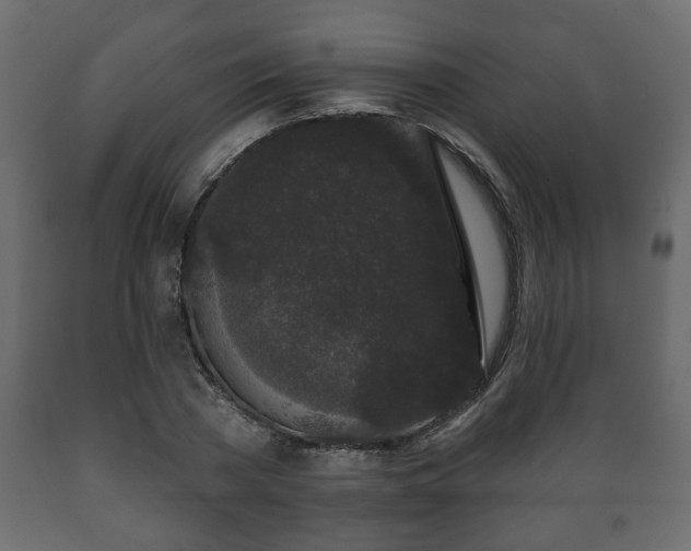X0000089910785200707060958