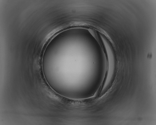 X0000089910786200707060958