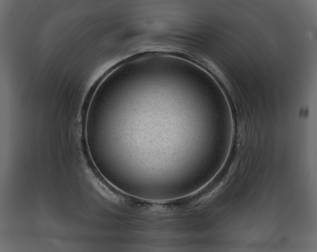 X0000089910787200707060958