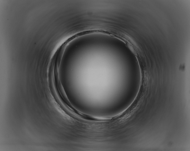 X0000089910788200707060958